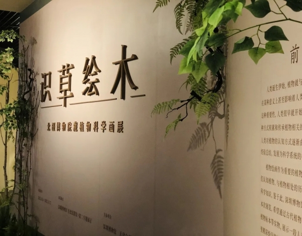 抓住暑假的尾巴，帶孩子感受博物館藝術的“光合作用”！